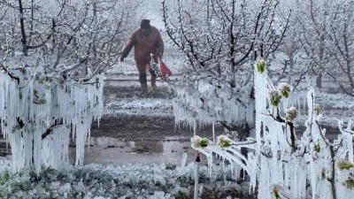 Zirai Don Meclis Araştırma Komisyonu 14 Mayıs'ta toplanıyor