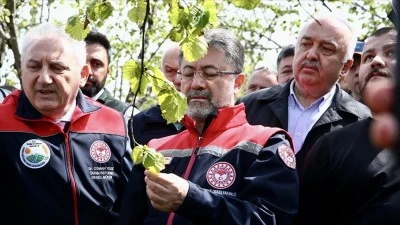 Zirai dondan etkilenen 16 meyve türü için destek verilecek