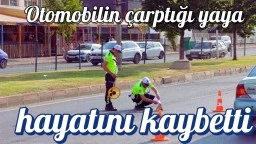 Otomobilin çarptığı yaya hayatını kaybetti